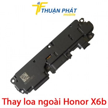 thay-loa-ngoai-honor-x6b