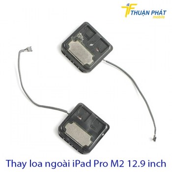 thay-loa-ngoai-ipad-pro-m2-12-9-inch