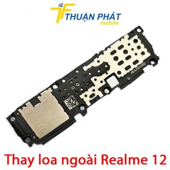 thay-loa-ngoai-realme-12