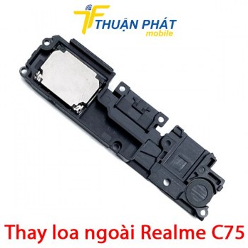 thay-loa-ngoai-realme-c75