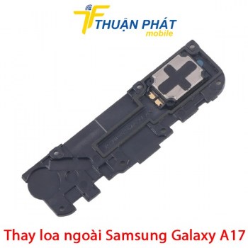 thay-loa-ngoai-samsung-galaxy-a17