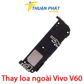 thay-loa-ngoai-vivo-v60