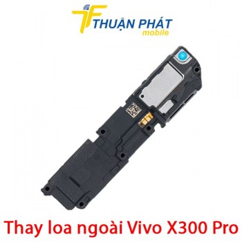 thay-loa-ngoai-vivo-x300-pro