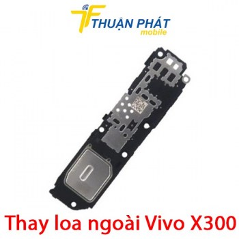 thay-loa-ngoai-vivo-x300