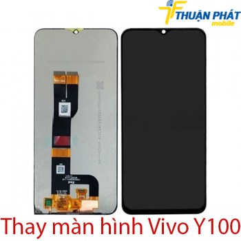 thay-man-hinh-Vivo-Y100