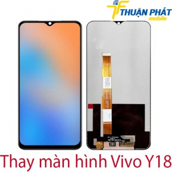 thay-man-hinh-Vivo-Y18