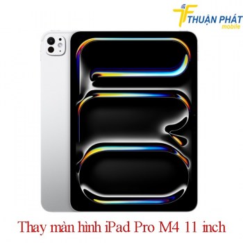 thay-man-hinh-ipad-pro-m4-11-inch-zin