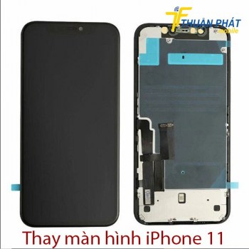 thay-man-hinh-iphone-11-1