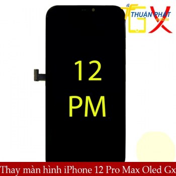 thay-man-hinh-iphone-12-pro-max-oled-gx