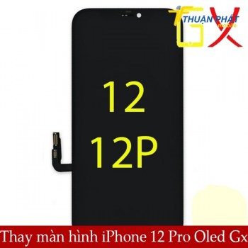 thay-man-hinh-iphone-12-pro-oled-gx