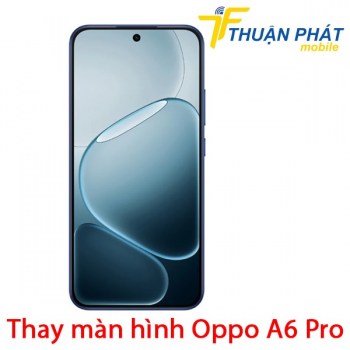 thay-man-hinh-oppo-a6-pro
