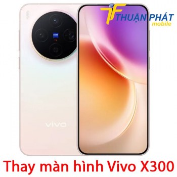 thay-man-hinh-vivo-x300