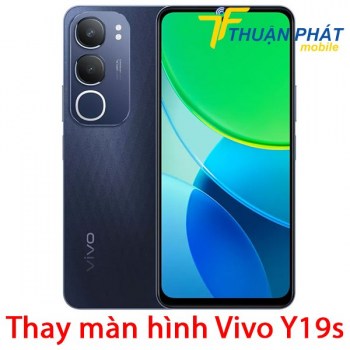 thay-man-hinh-vivo-y19s