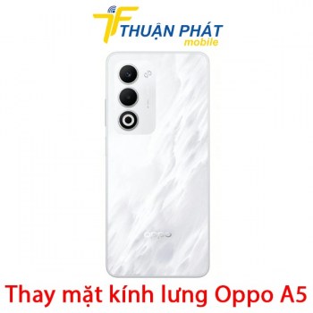thay-mat-kinh-lung-oppo-a5