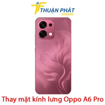 thay-mat-kinh-lung-oppo-a6-pro
