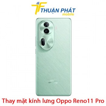thay-mat-kinh-lung-oppo-reno11-pro