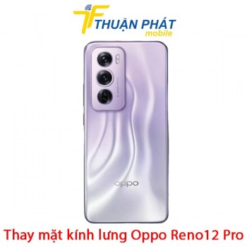 thay-mat-kinh-lung-oppo-reno12-pro