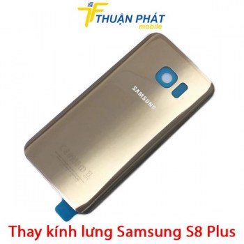 thay-mat-kinh-lung-samsung-s8-plus