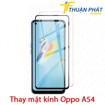 thay-mat-kinh-oppo-a544