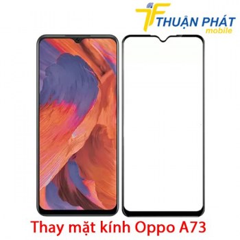 thay-mat-kinh-oppo-a73