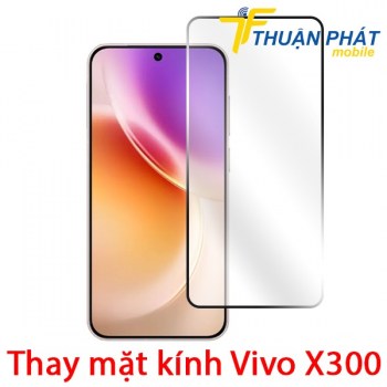 thay-mat-kinh-vivo-x300
