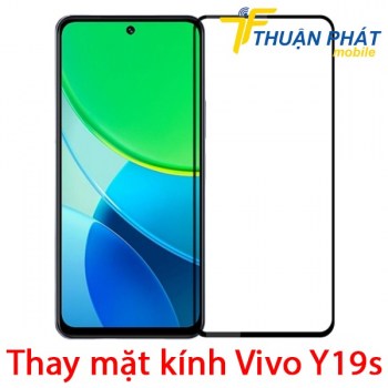 thay-mat-kinh-vivo-y19s