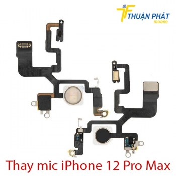 thay-mic-iphone-12-pro-max2