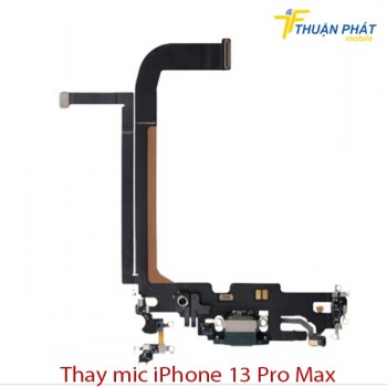thay-mic-iphone-13-pro-max5