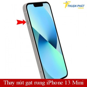 thay-nut-gat-rung-dien-thoai-iphone-13-mini