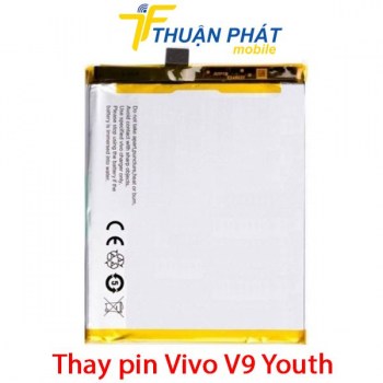 thay-pin-vivo-v9-youth