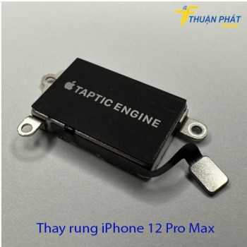 thay-rung-iphone-12-pro-max