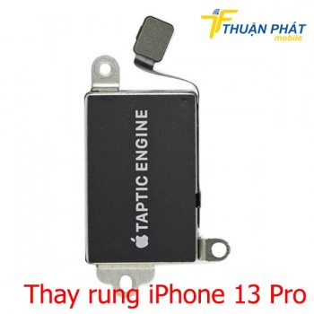thay-rung-iphone-13-pro