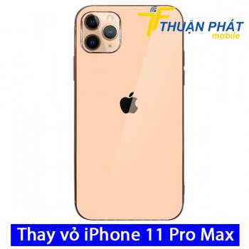 thay-vo-iphone-11-pro-max
