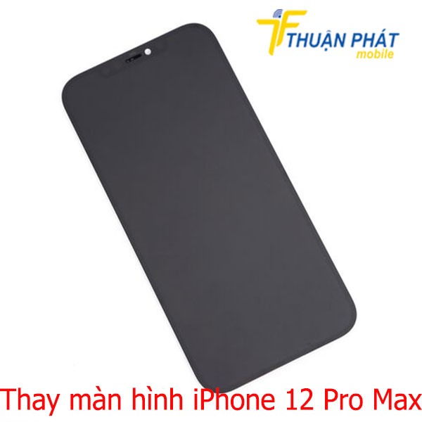 Có nên thay màn hình iPhone 12 Pro Max lấy ngay hay chờ mua màn zin hãng?
