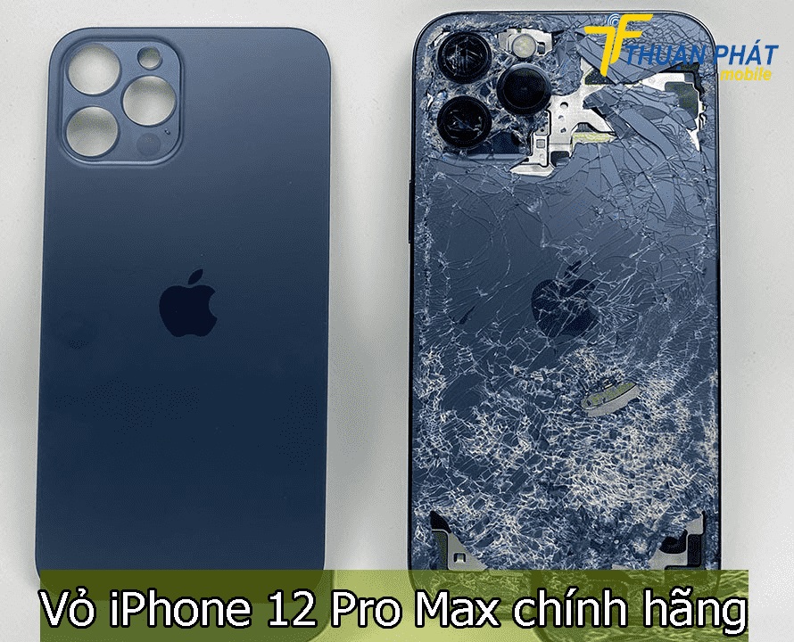 Vỏ iPhone 12 Pro Max chính hãng